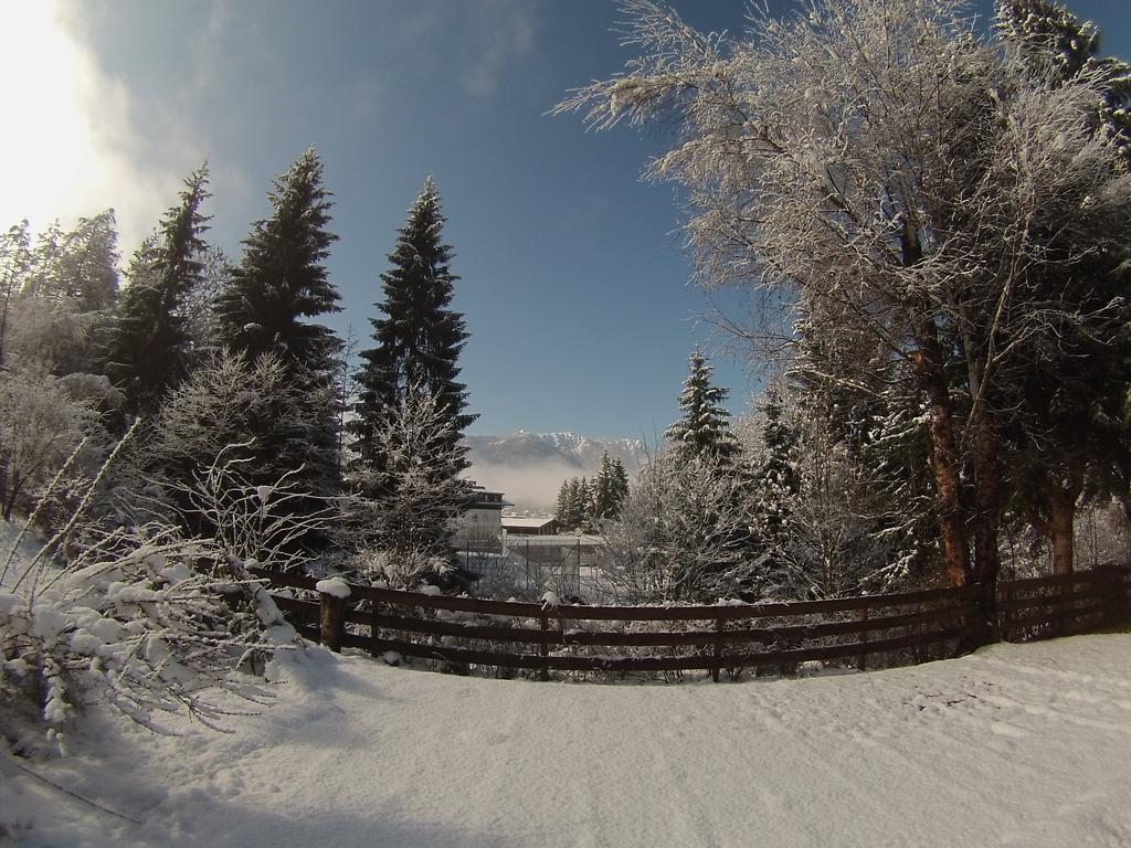 La Irmania Pension Леденицен Экстерьер фото